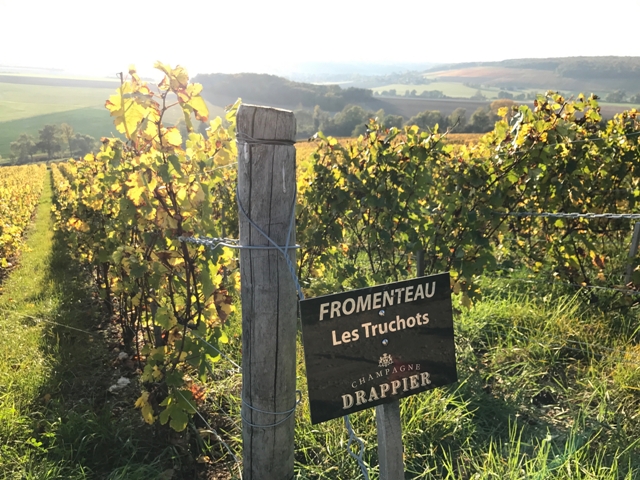 drappier-fromenteau vineyard