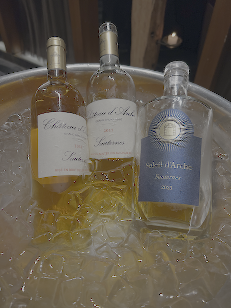 Château d'Arche wines in chill bucket